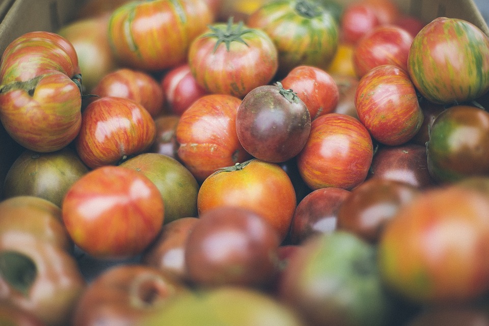 4 Tipos de Tomates Gourmet que Tienes que Conocer