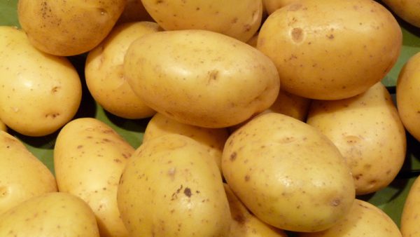 Tipos de patatas: monalisa