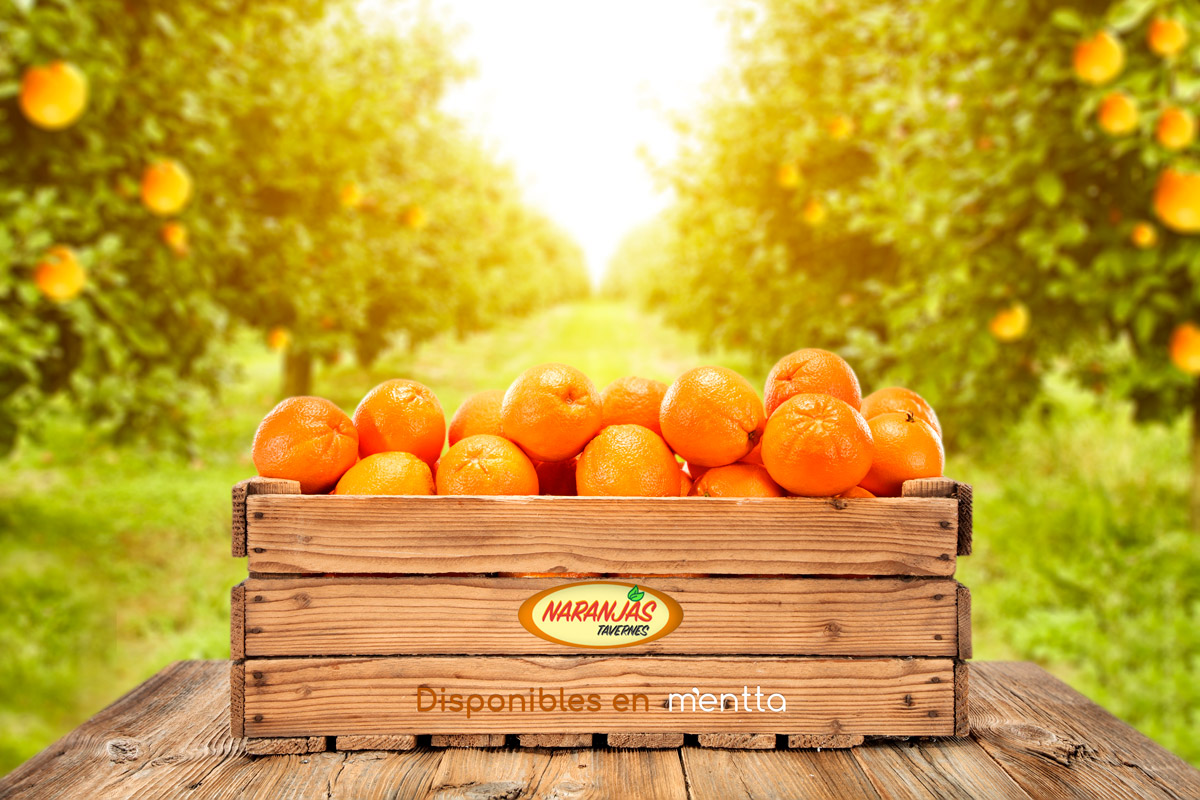 Naranjas Tavernes: ¡Cajas de naranjas de Valencia!