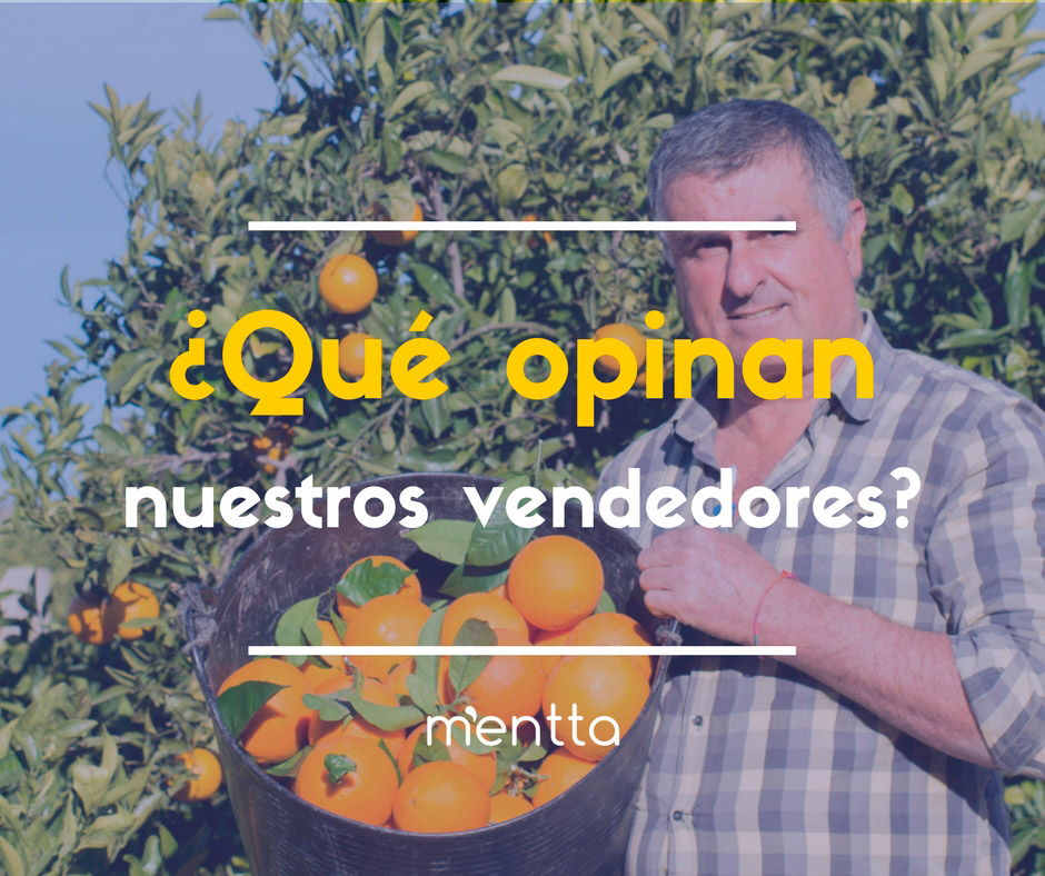 ᐅ ¿Quieres Saber Opiniones Sobre Vender en mentta?