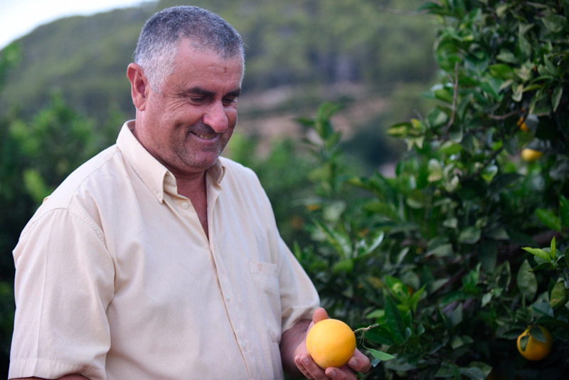 Matildo de Naranjas Tavernes